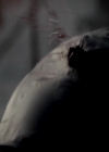 VampireDiariesWorld-dot-org_4x02Memorial1610.jpg