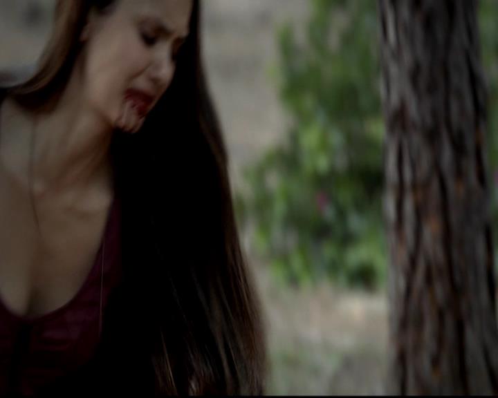 VampireDiariesWorld-dot-org_4x05TheKiller1832.jpg