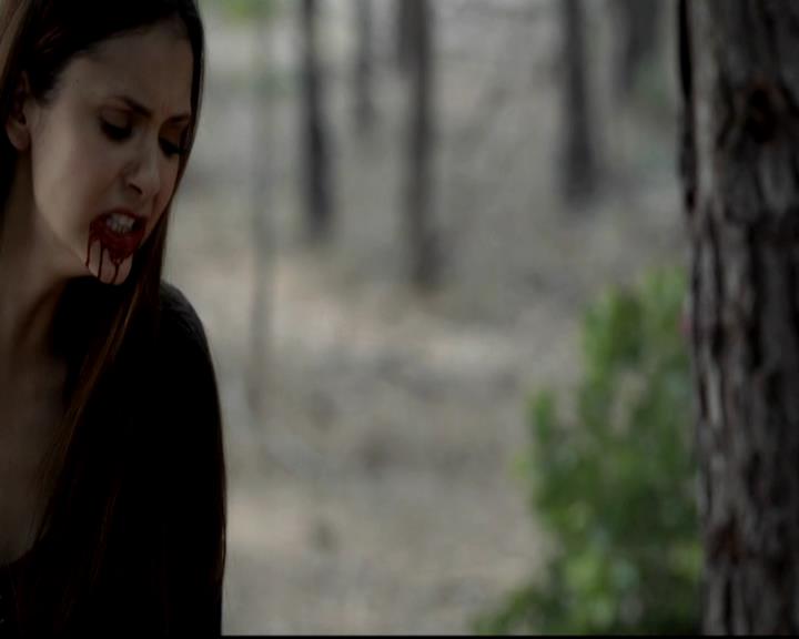 VampireDiariesWorld-dot-org_4x05TheKiller1834.jpg