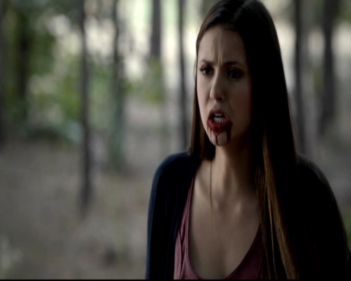 VampireDiariesWorld-dot-org_4x05TheKiller1840.jpg