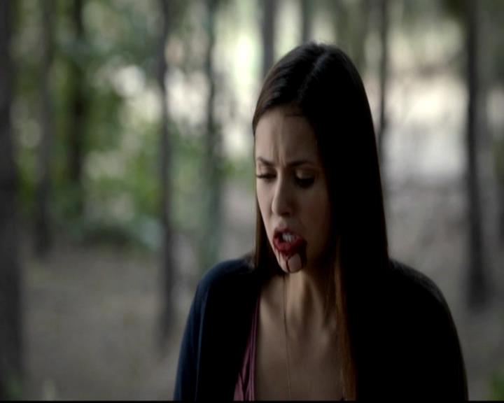 VampireDiariesWorld-dot-org_4x05TheKiller1841.jpg