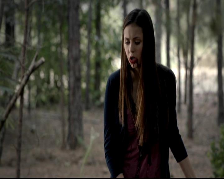 VampireDiariesWorld-dot-org_4x05TheKiller1846.jpg