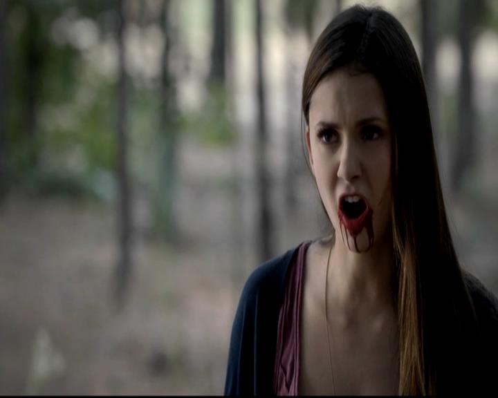 VampireDiariesWorld-dot-org_4x05TheKiller1861.jpg