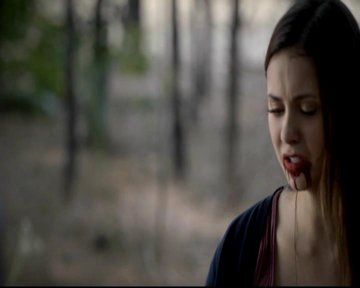 VampireDiariesWorld-dot-org_4x05TheKiller1870.jpg