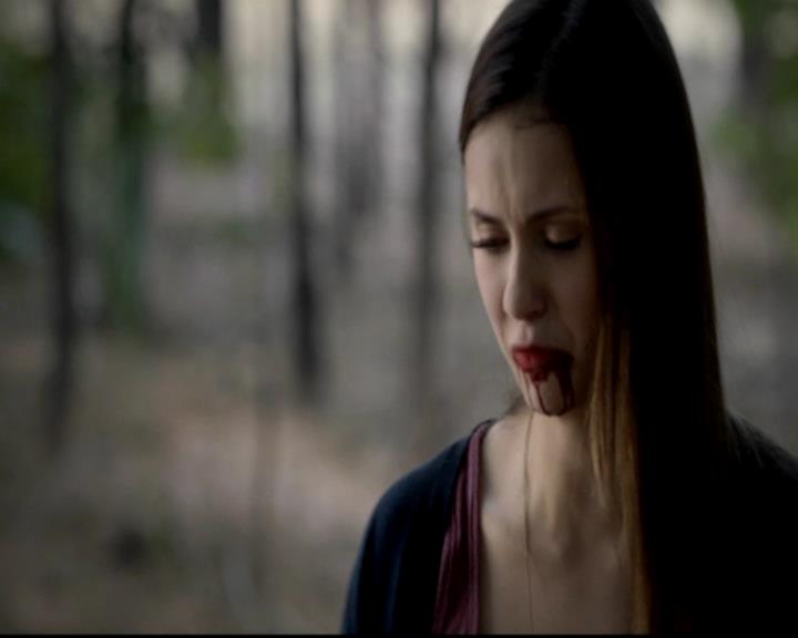 VampireDiariesWorld-dot-org_4x05TheKiller1871.jpg