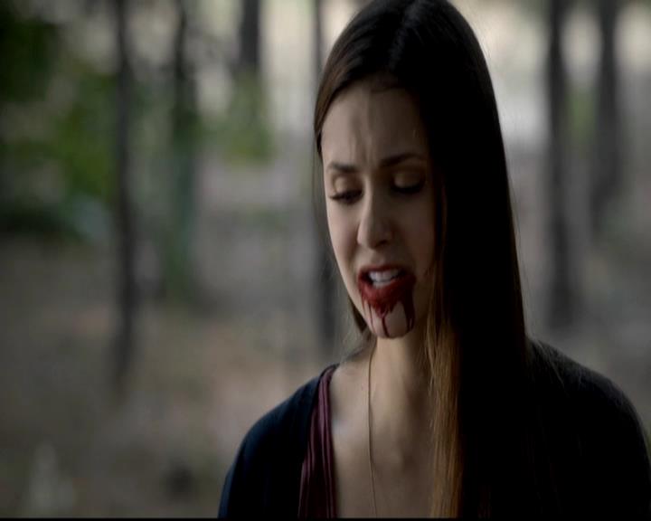 VampireDiariesWorld-dot-org_4x05TheKiller1872.jpg