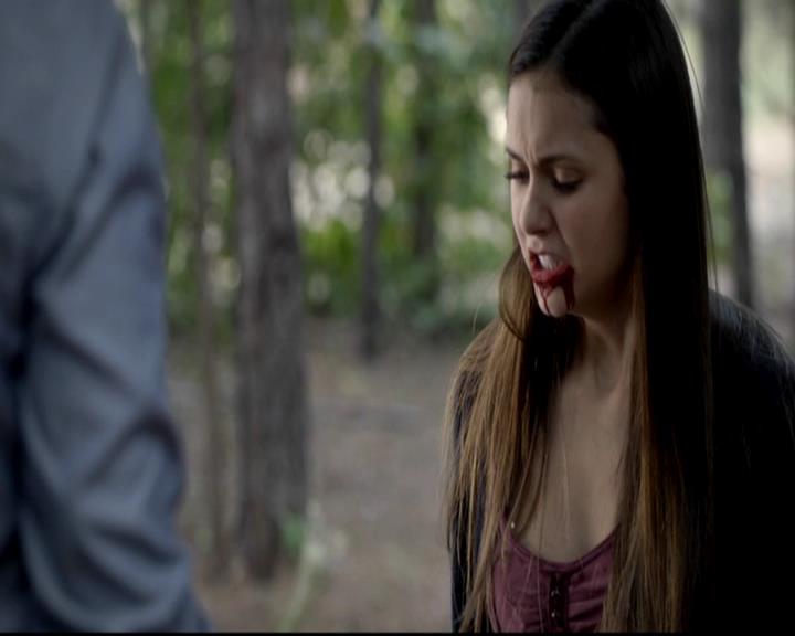 VampireDiariesWorld-dot-org_4x05TheKiller1874.jpg