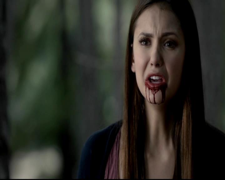 VampireDiariesWorld-dot-org_4x05TheKiller1890.jpg