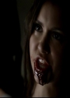 VampireDiariesWorld-dot-org_4x05TheKiller1673.jpg