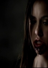 VampireDiariesWorld-dot-org_4x05TheKiller1697.jpg