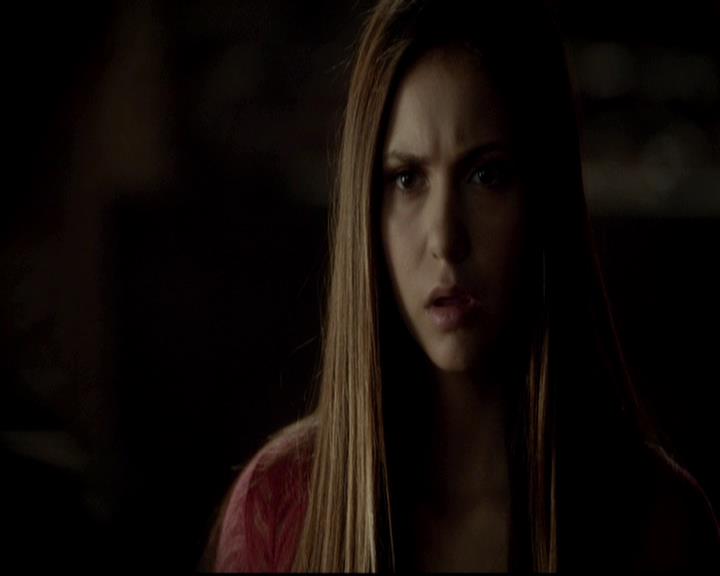 VampireDiariesWorld-dot-org_4x06WeAllGoALittleMadSometimes0652.jpg