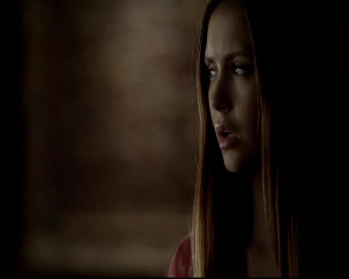 VampireDiariesWorld-dot-org_4x06WeAllGoALittleMadSometimes0683.jpg