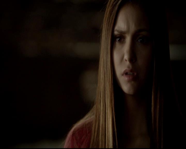 VampireDiariesWorld-dot-org_4x06WeAllGoALittleMadSometimes0703.jpg