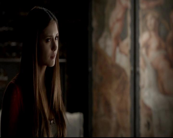 VampireDiariesWorld-dot-org_4x06WeAllGoALittleMadSometimes0834.jpg