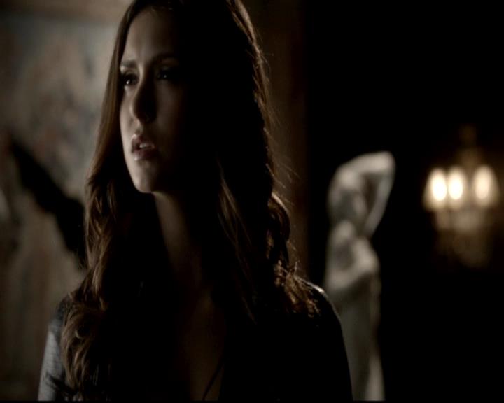 VampireDiariesWorld-dot-org_4x06WeAllGoALittleMadSometimes0953.jpg