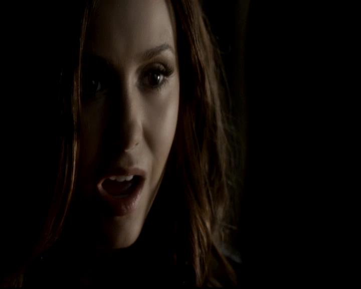 VampireDiariesWorld-dot-org_4x06WeAllGoALittleMadSometimes1211.jpg