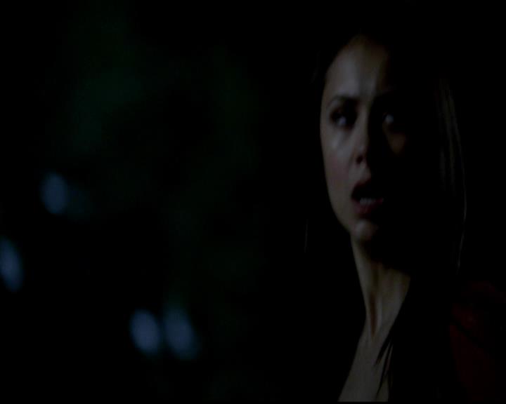 VampireDiariesWorld-dot-org_4x06WeAllGoALittleMadSometimes1350.jpg