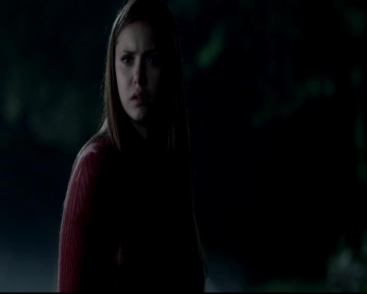 VampireDiariesWorld-dot-org_4x06WeAllGoALittleMadSometimes1530.jpg