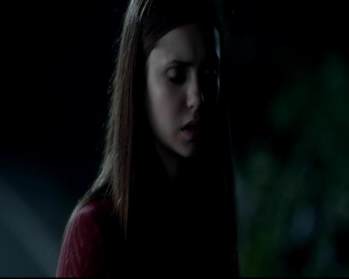 VampireDiariesWorld-dot-org_4x06WeAllGoALittleMadSometimes1538.jpg