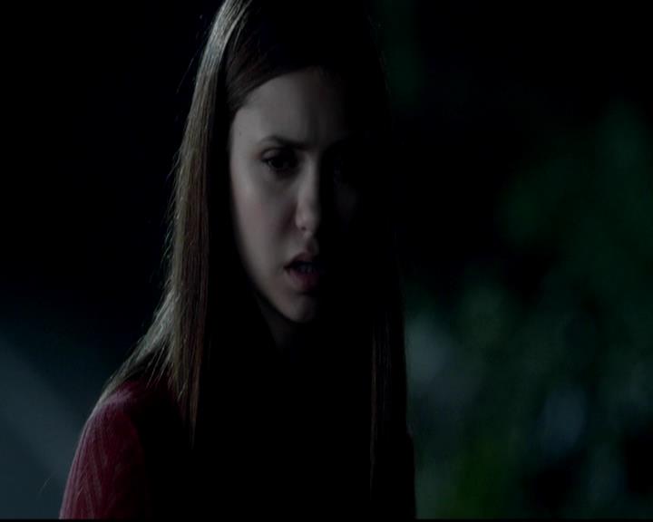 VampireDiariesWorld-dot-org_4x06WeAllGoALittleMadSometimes1539.jpg