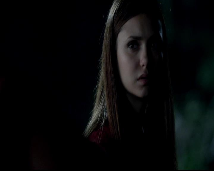 VampireDiariesWorld-dot-org_4x06WeAllGoALittleMadSometimes1572.jpg