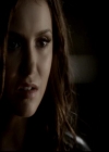 VampireDiariesWorld-dot-org_4x06WeAllGoALittleMadSometimes1209.jpg