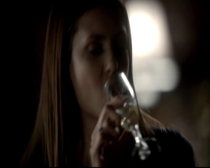 VampireDiariesWorld-dot-org_4x08WellAlwaysHaveBourbonStreet1189.jpg