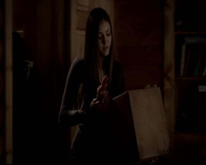 VampireDiariesWorld-dot-org_4x09OComeAllYeFaithful1374.jpg