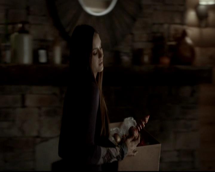 VampireDiariesWorld-dot-org_4x09OComeAllYeFaithful1376.jpg