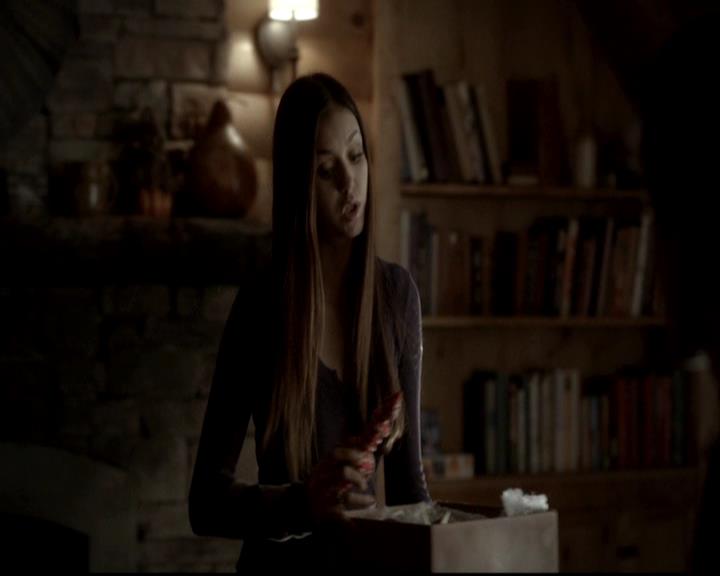 VampireDiariesWorld-dot-org_4x09OComeAllYeFaithful1377.jpg