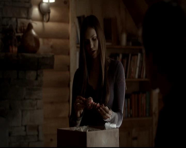 VampireDiariesWorld-dot-org_4x09OComeAllYeFaithful1378.jpg