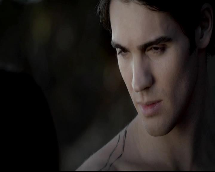 VampireDiariesWorld-dot-org_4x13IntoTheWild0307.jpg