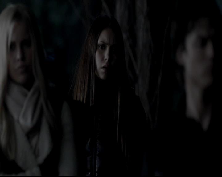 VampireDiariesWorld-dot-org_4x13IntoTheWild0508.jpg