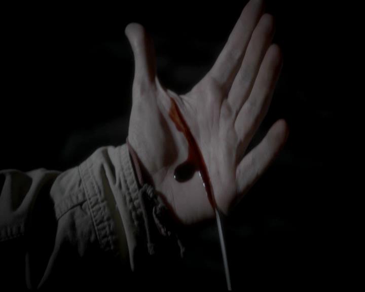 VampireDiariesWorld-dot-org_4x13IntoTheWild0514.jpg