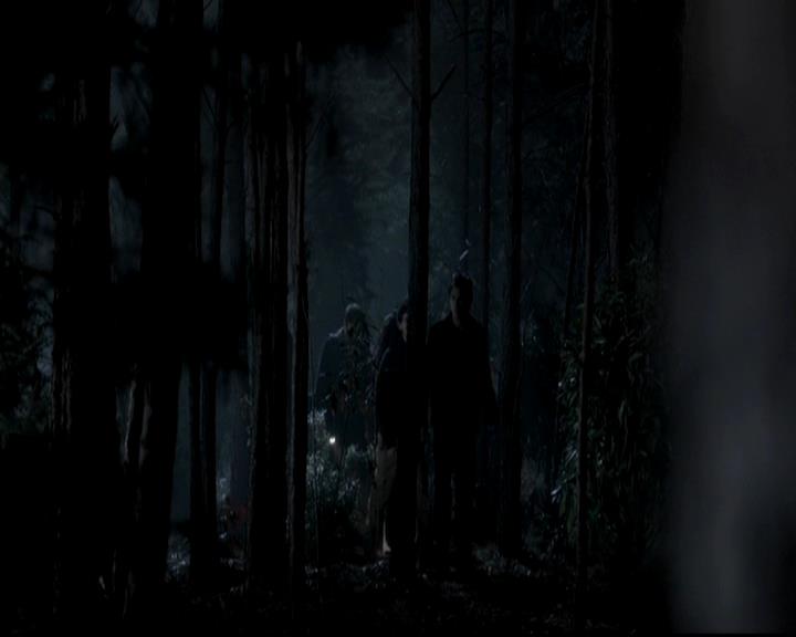 VampireDiariesWorld-dot-org_4x13IntoTheWild0604.jpg