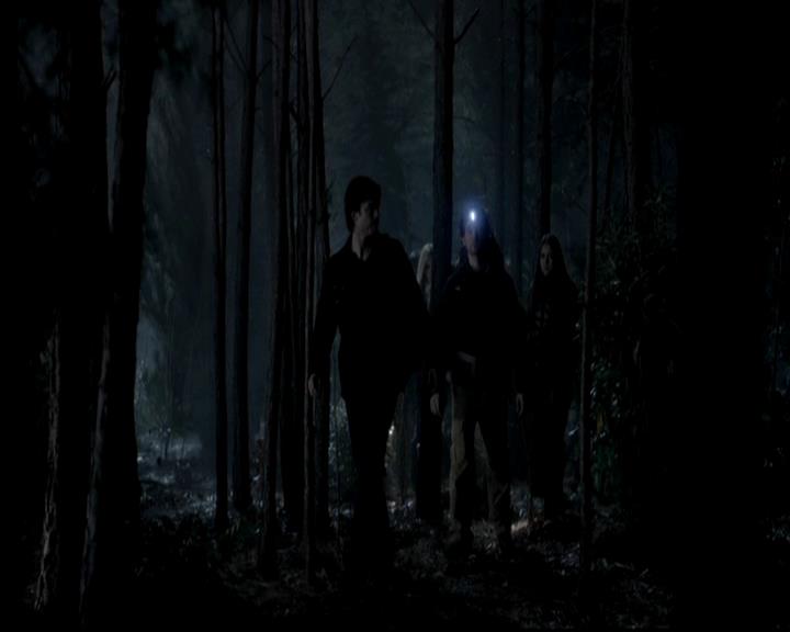 VampireDiariesWorld-dot-org_4x13IntoTheWild0607.jpg