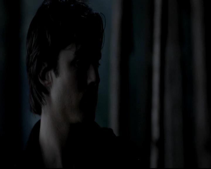 VampireDiariesWorld-dot-org_4x13IntoTheWild0610.jpg