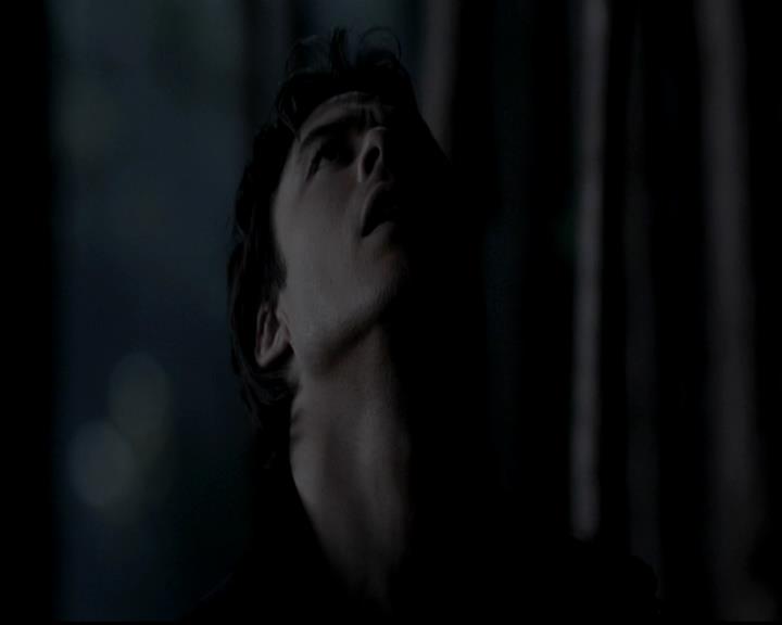 VampireDiariesWorld-dot-org_4x13IntoTheWild0620.jpg