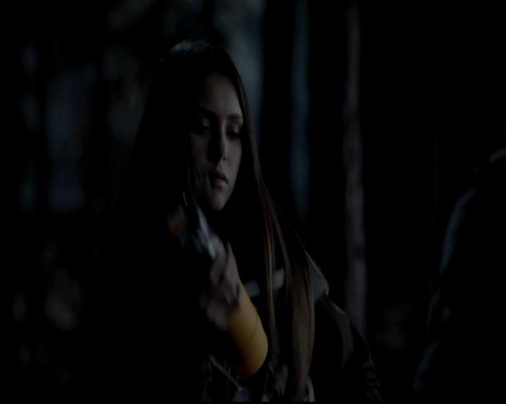 VampireDiariesWorld-dot-org_4x13IntoTheWild0631.jpg