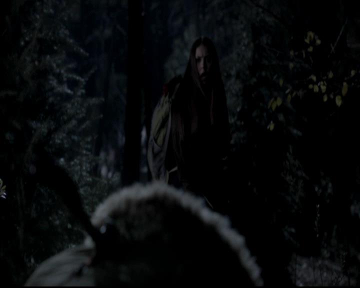 VampireDiariesWorld-dot-org_4x13IntoTheWild0657.jpg