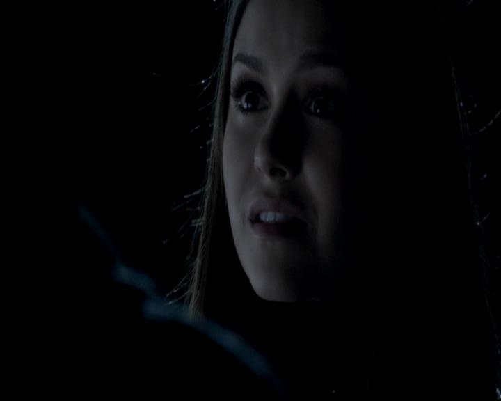 VampireDiariesWorld-dot-org_4x13IntoTheWild0746.jpg