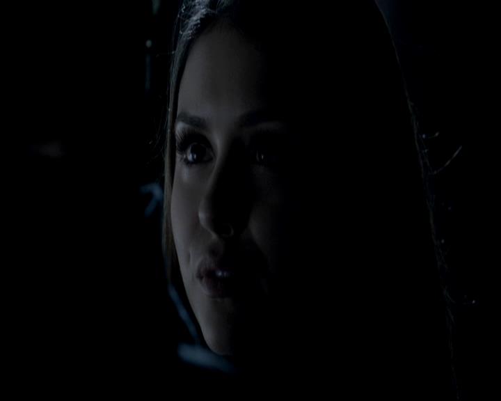 VampireDiariesWorld-dot-org_4x13IntoTheWild0768.jpg