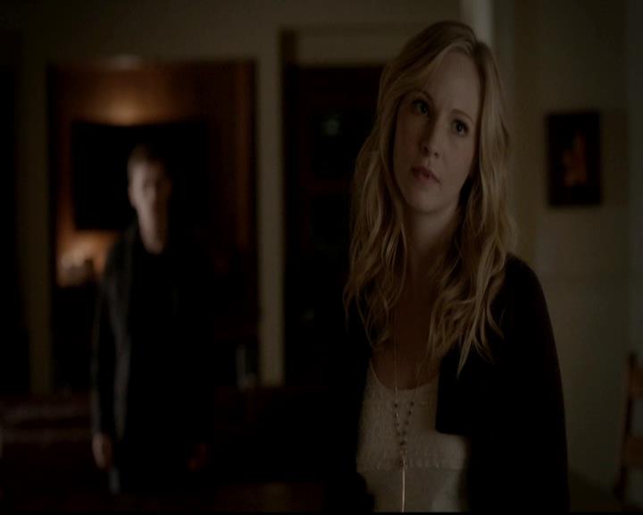 VampireDiariesWorld-dot-org_4x13IntoTheWild0800.jpg