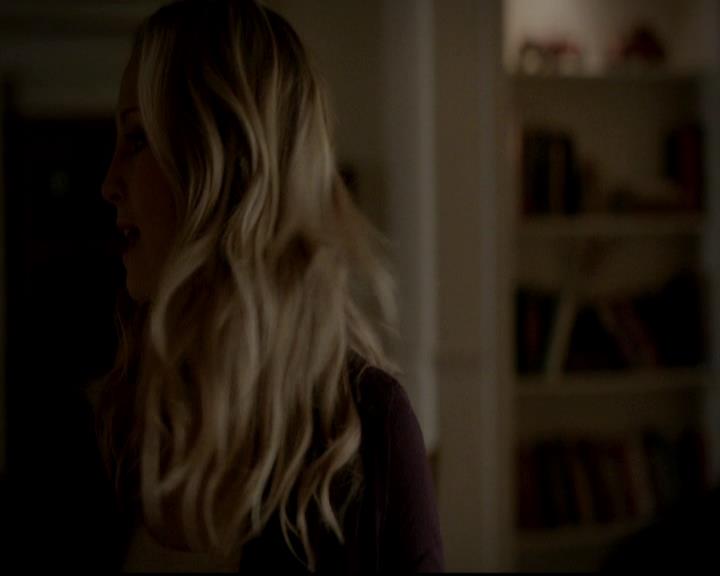 VampireDiariesWorld-dot-org_4x13IntoTheWild0816.jpg