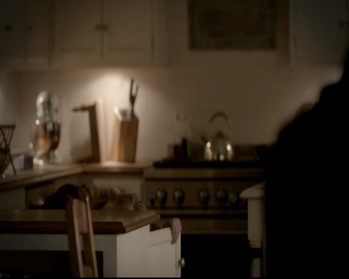 VampireDiariesWorld-dot-org_4x13IntoTheWild0820.jpg