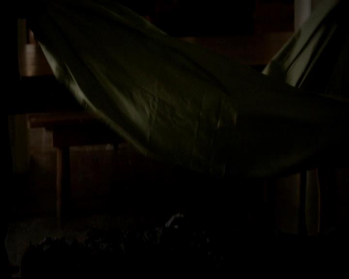 VampireDiariesWorld-dot-org_4x13IntoTheWild0825.jpg