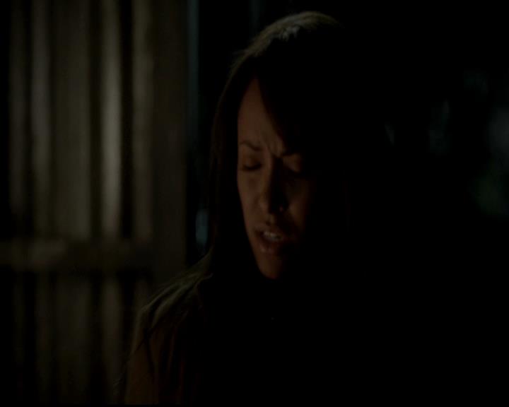 VampireDiariesWorld-dot-org_4x13IntoTheWild0989.jpg