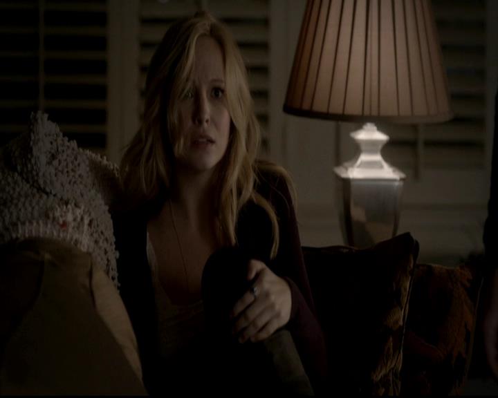 VampireDiariesWorld-dot-org_4x13IntoTheWild1127.jpg