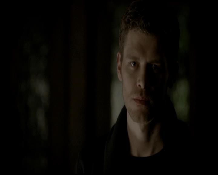 VampireDiariesWorld-dot-org_4x13IntoTheWild1194.jpg