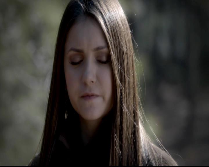 VampireDiariesWorld-dot-org_4x13IntoTheWild1217.jpg